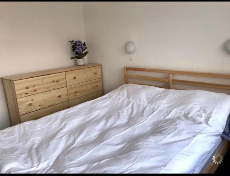 Great Price, Lovely Comfy Flat.2 Mins From The Sea 라임레지스 외부 사진